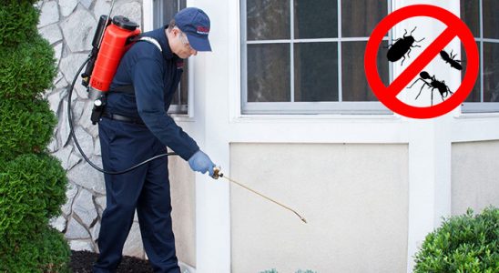 Evciler Haşere İlaçlama böcek ilaçlama ve haşere kontrolü — ilaclama-tr.com